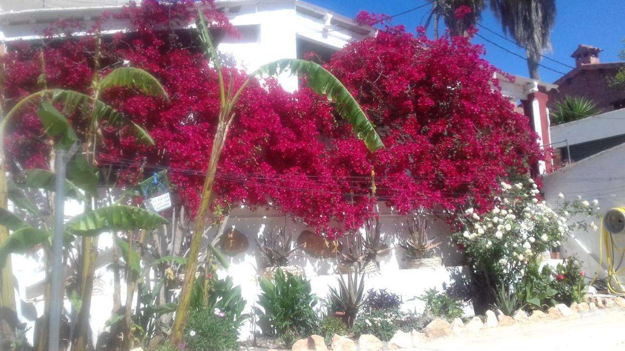 Casa Rural Complex Masia Del Tremendo Y Agroturismo Camarles Экстерьер фото