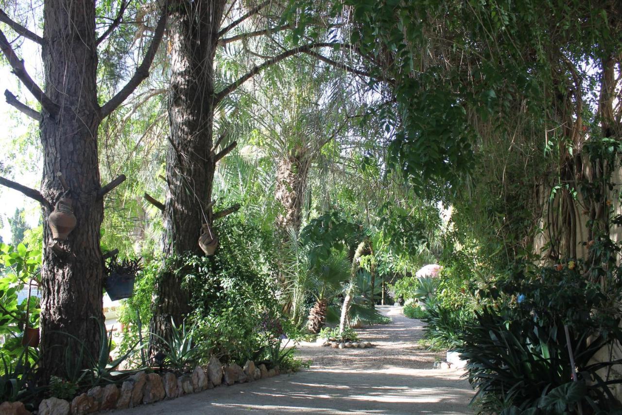 Casa Rural Complex Masia Del Tremendo Y Agroturismo Camarles Экстерьер фото